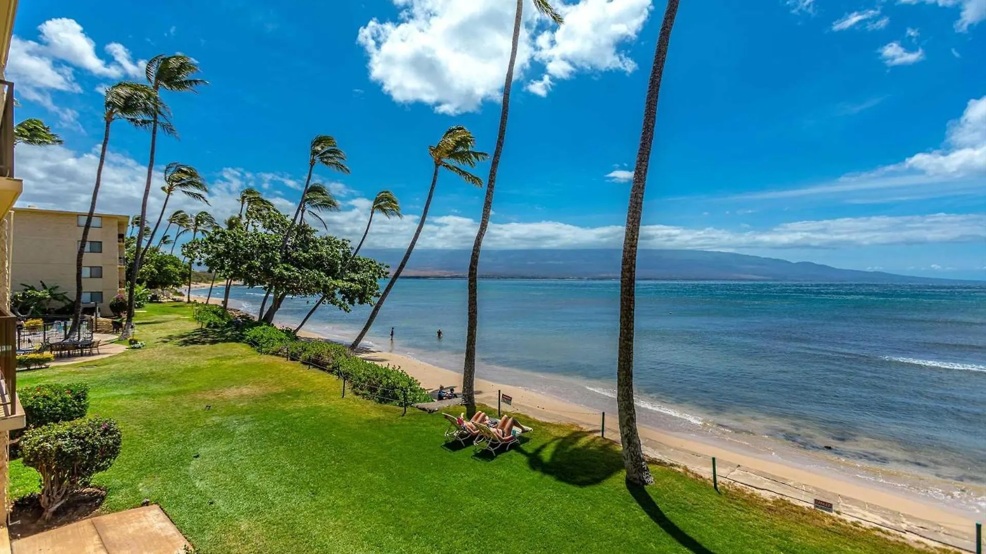 Kanai A Nalu 414 Wailuku