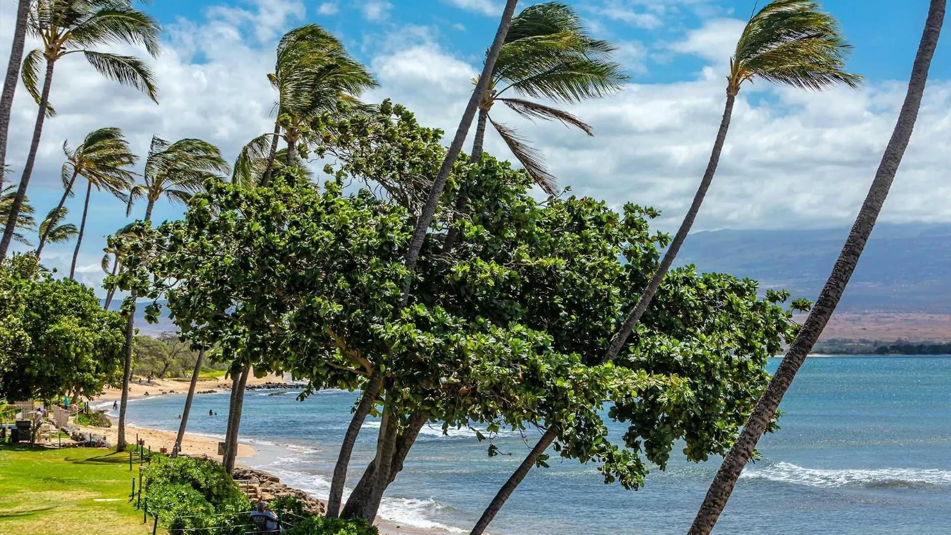 Kanai A Nalu 414 Wailuku Holiday home
