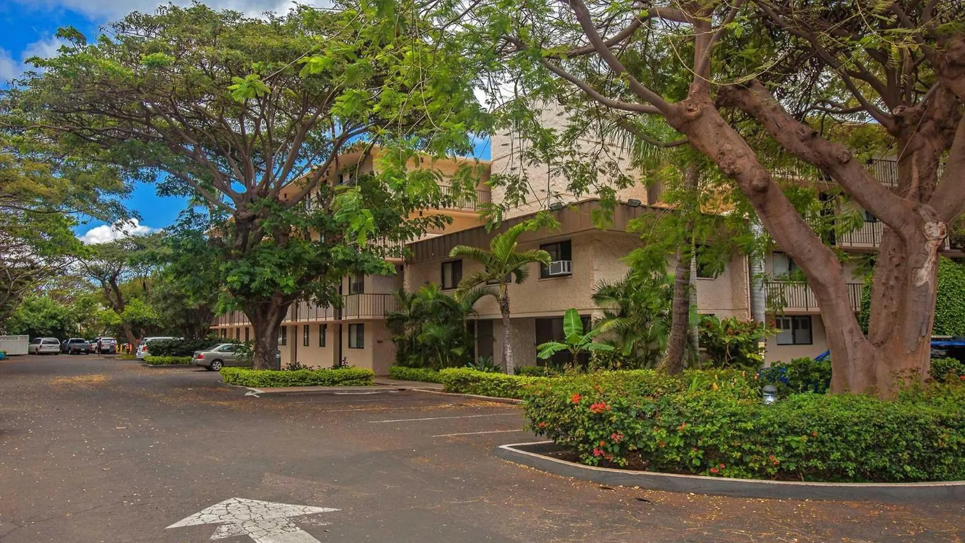 Kanai A Nalu 414 Wailuku