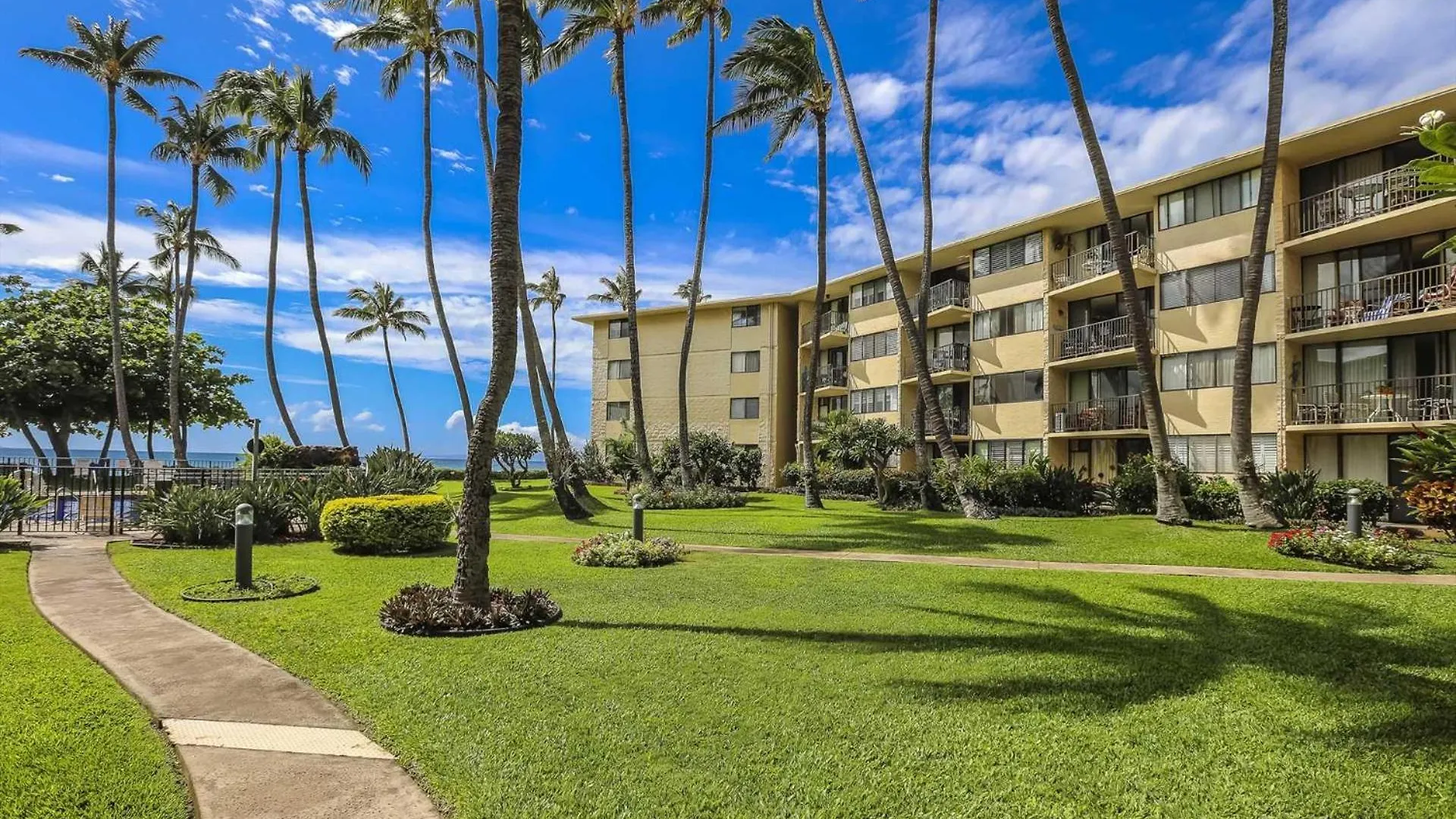 Kanai A Nalu 414 Wailuku